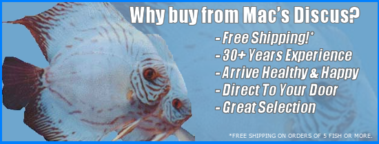 macsdiscuscenterbanner.fw.png macsdiscuscenterbanner.fw.png